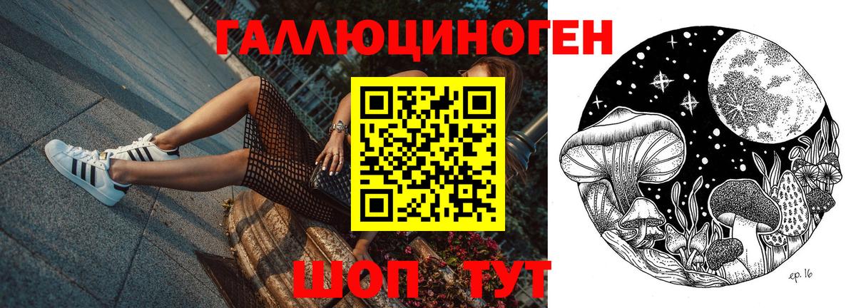 Галлюциногенные грибы Psilocybine cubensis Богородицк