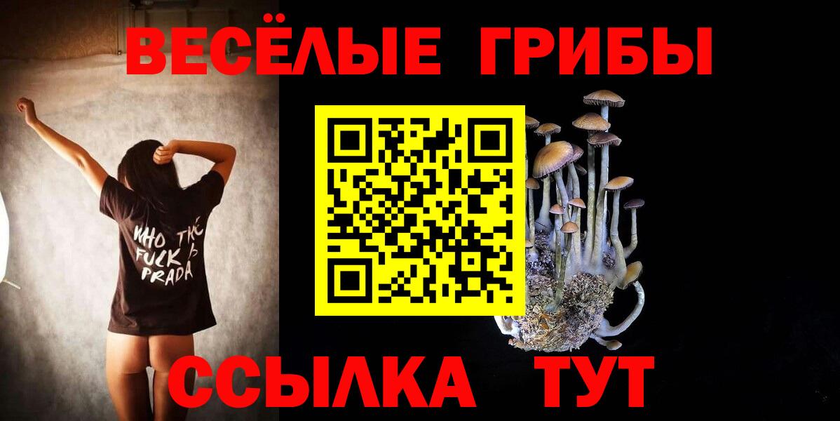 Галлюциногенные грибы прущие грибы  Галлюциногенные грибы прущие грибы  Богородицк  Вход с VPN 